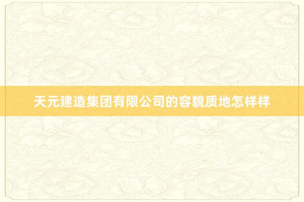 天元建造集团有限公司的容貌质地怎样样